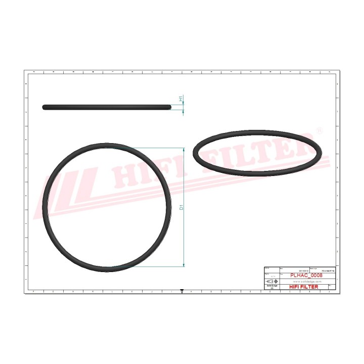 GASKET